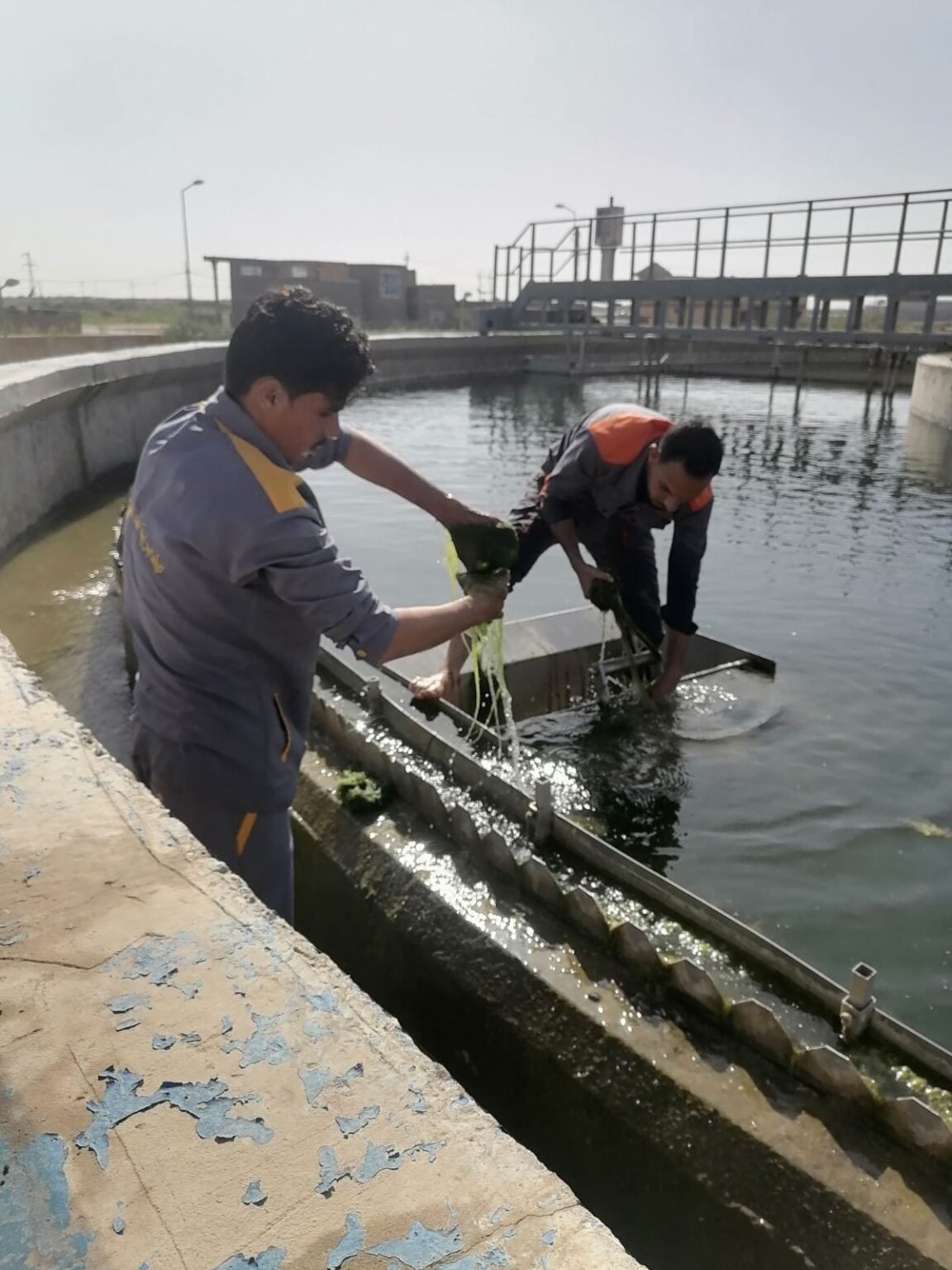 345038544_229672783034801_1631876216094999858_n