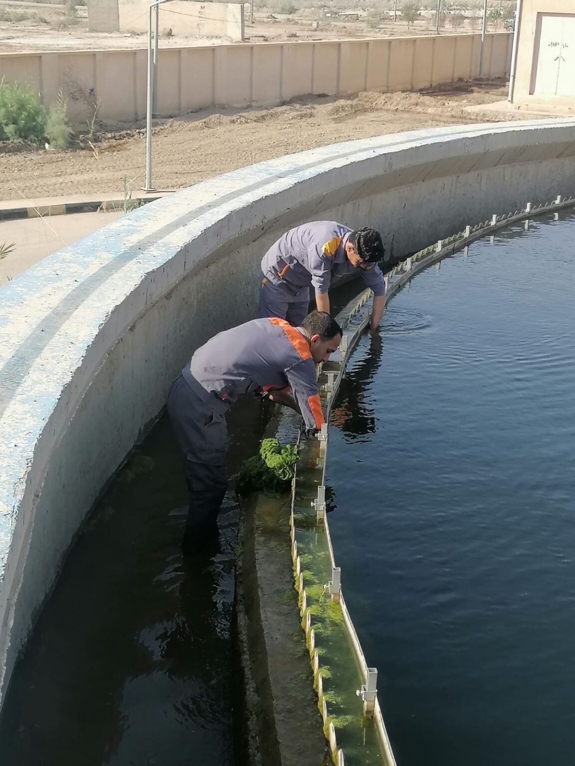 346039024_764250258705323_2037580222146601173_n