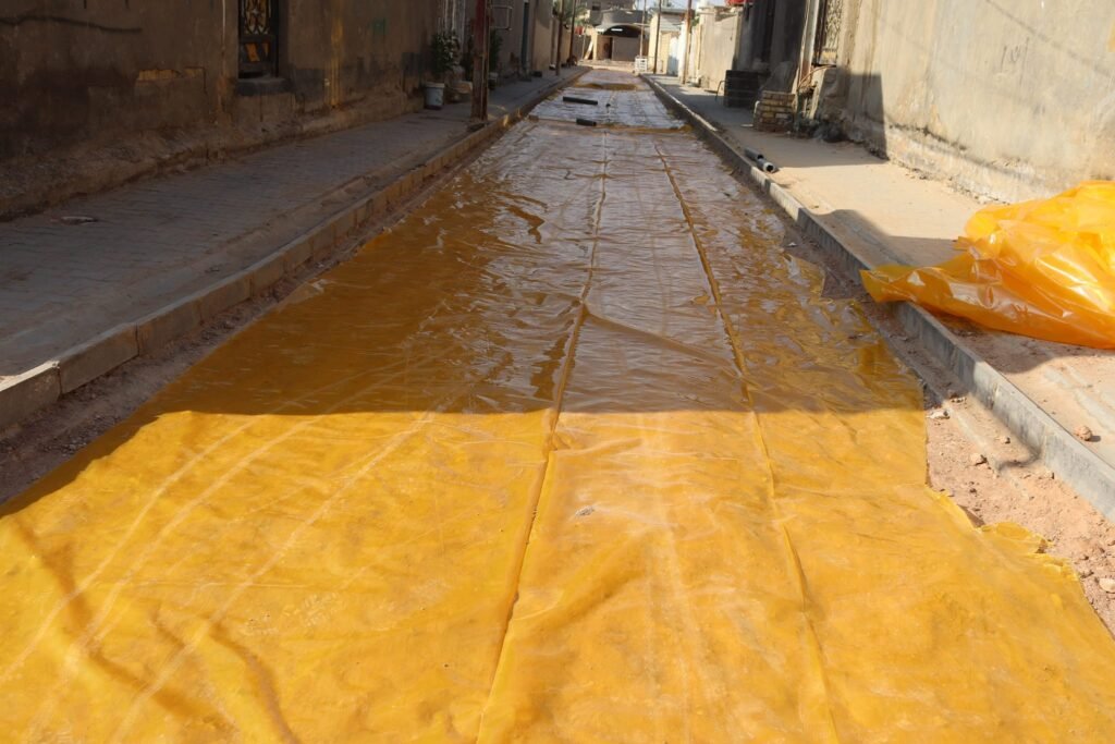 312043004_643237354087428_7047007179839710117_n